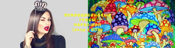 герыч Богородск