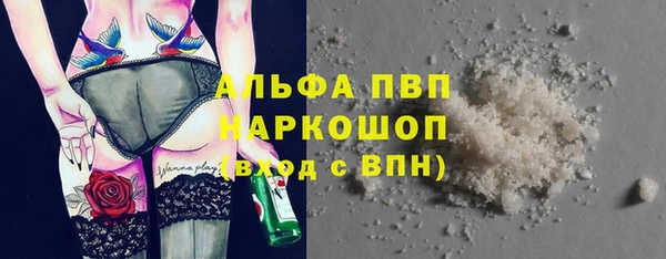 стаф Богородицк